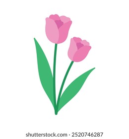 Flower Illustration - Single Vector 08