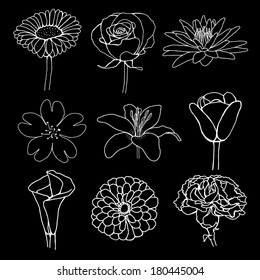 flower illustration sketch design isolated
