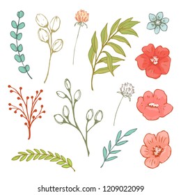 Flower illustration. Vector.