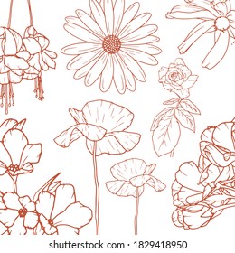 Un vector de ilustración floral dibujado en línea