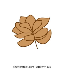 flower illustration vector elements design