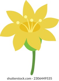 flower illustration vector on white background