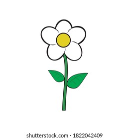 flower image and vector illustration