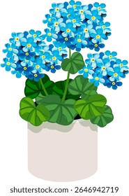 flower indoor plant in pot vector no background