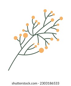 Flower inflorescence Decor for bouquet. Vector illustration