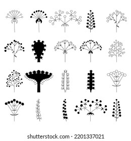 Flower inflorescences in plants on a stem, isolated vector, different pack of outline silhouettes of inflorescences