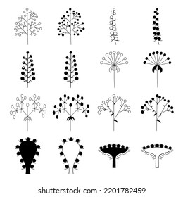 Flower inflorescences in plants on a stem, isolated vector, different pack of outline silhouettes of inflorescences