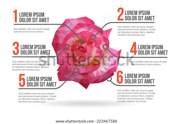 Flower Infographic Layout Vector Illustration Stock Vector Royalty