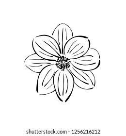 Flower. Ink drawing. Vector.