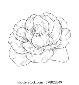 Flower Rose Black White Isolated On Stock Vector (Royalty Free) 740476534