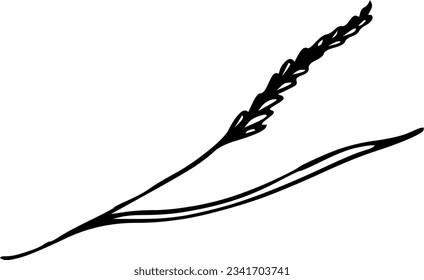 Ilustración vectorial de tinta de flor para invitación de boda, tela de tarjetas de felicitación, etc