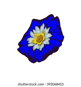 Flower Ipomoea 
