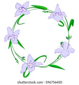 Flower iris beautiful holiday wreath vector illustration