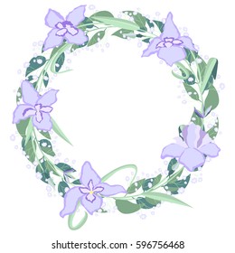 Flower iris beautiful holiday wreath vector illustration