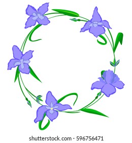 Flower iris beautiful holiday wreath vector illustration