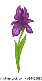 Flower iris blossom bud or bloom vector flat isolated icon