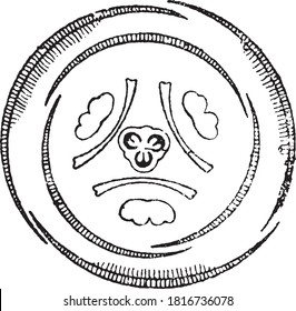 Flower iris, diagram from the gardens, From the Dictionary of Word and Things, 1888.
