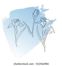 Flower Iris Doodle Flourish graphic with ornate pattern.