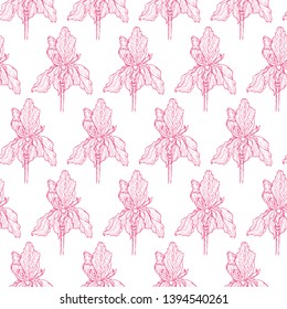 Flower Iris pattern gently pink chess vector illustration