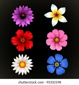 Flower Isolated