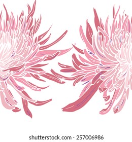 flower isolated background. Aster and chrysanthemum