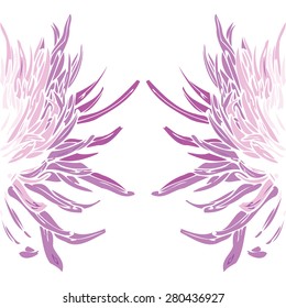 flower isolated background. Aster and chrysanthemum