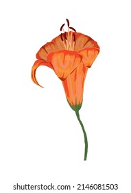flower isolated icon flat vector