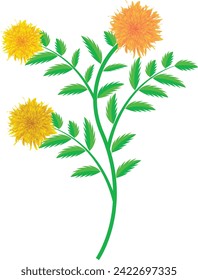 Flower isolated on transparent background