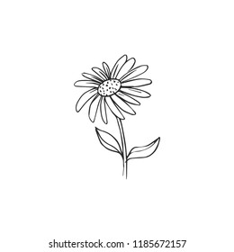  flower isolated on white background, vector illustration