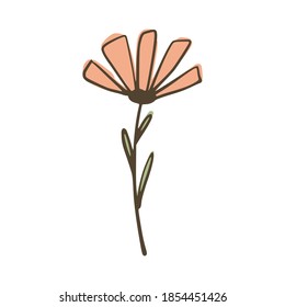 Flower isolated on white background. Abstract botanical sketch pink and green color hand drawn in style doodle vector illustration.