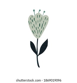 Flower isolated on white background. Abstract scandinavian botanical sketch. Doodle vector illustration.