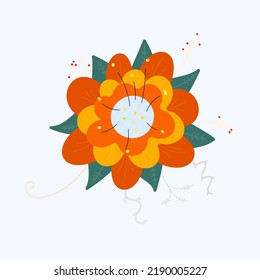 flor aislada en fondo blanco