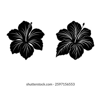 a flower isolated on white background.