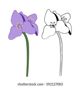 Flower isolated on white background. Hand drawn flower. Flower outlines in sketch style isolated on white background. Black ink flower illustration for coloring books.
