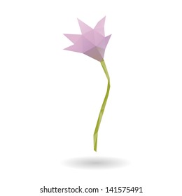 Flower isolated on a white backgrounds