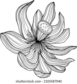Blume einzeln auf Weiß, handgezeichnet Skizze, Vektorgrafik. EPS10