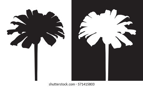 Flower isolated vector, black shadow flora, floral outline, blossom contour, bloom botany silhouette, white daisy tattoo