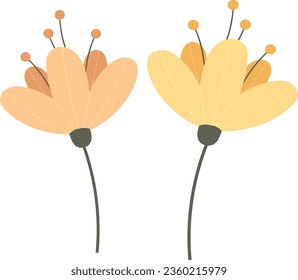 flower isolated vector design. one flower. flowers design.  beautiful flower symbol, flower vector