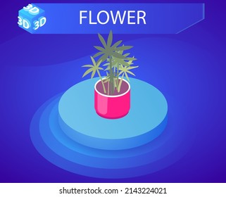 Icono de diseño isométrico de flores. Ilustración web de vectores. 3.ª colorida concepción