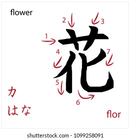 Flower. Japanese flash card vector design for students