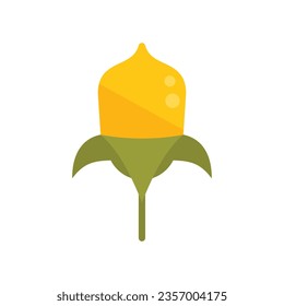 Flower jojoba icon flat vector. Plant seed. Leaf herb isolated