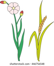 Flower. Kolos, vector illustration