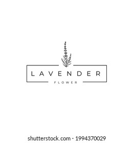 Flower Lavender Oil Square Logo Vector Illustration Template Icon 