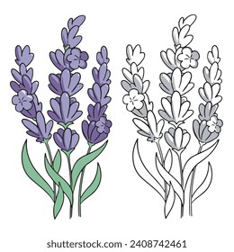 flower lavender . Simple Design Outline Style. You can give color you like. Vector Illustrations