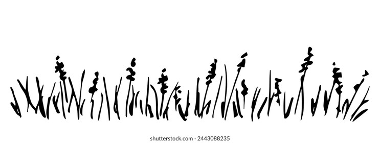 Flower lawn, blades of grass and inflorescences, spikelets. Floral border. Hand drawn vector drawing with black outline, ink sketch. Nature and vegetation.