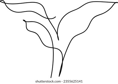 flower and leaf botanical one line hand drawing element