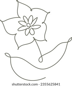 flor y hoja botánica elemento de dibujo de una línea a mano