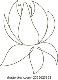 flower and leaf botanical one line hand drawing element