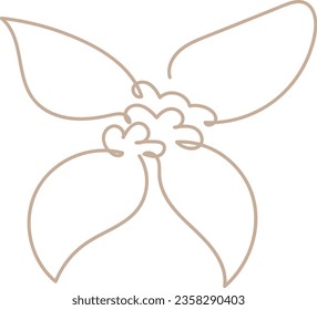flower and leaf botanical one line hand drawing vector element