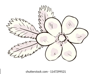 Flower and leaf. Composition in pastel colors. Vector retro design element.